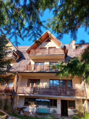 Pokoje gościnne Brzozowa 14 Zakopane